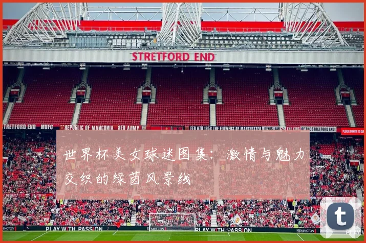 世界杯美女球迷图集：激情与魅力交织的绿茵风景线