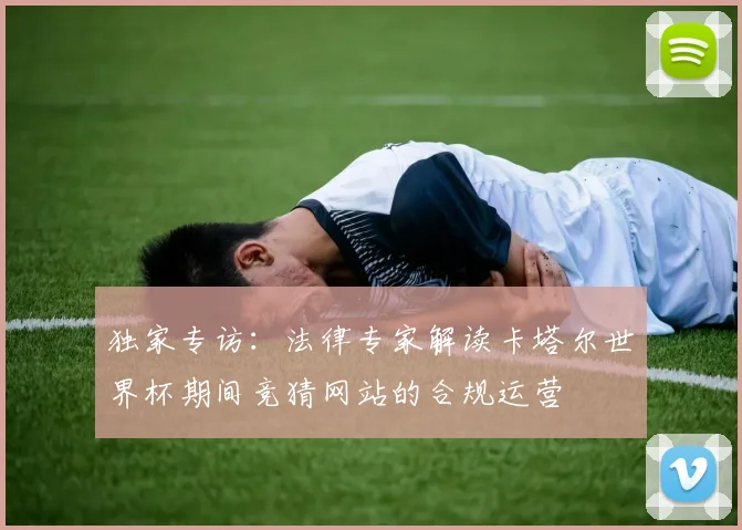 独家专访:法律专家解读卡塔尔世界杯期间竞猜网站的合规运营