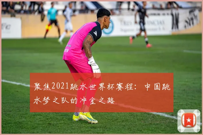 聚焦2021跳水世界杯赛程:中国跳水梦之队的冲金之路