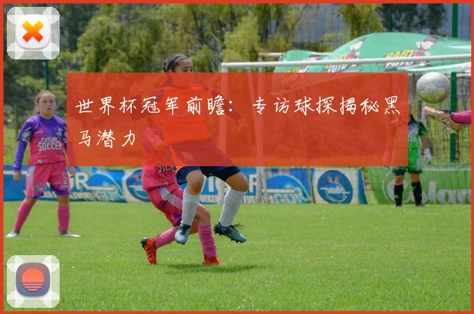 世界杯冠军前瞻:专访球探揭秘黑马潜力