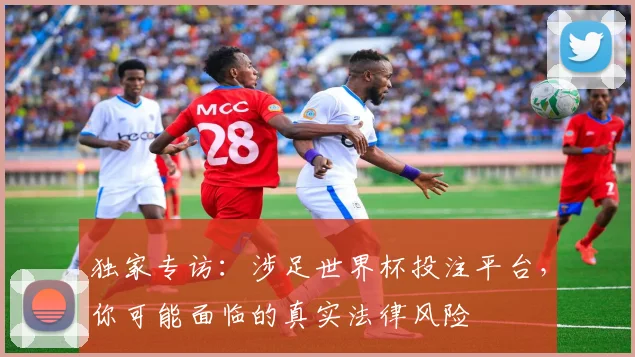 独家专访:涉足世界杯投注平台,你可能面临的真实法律风险