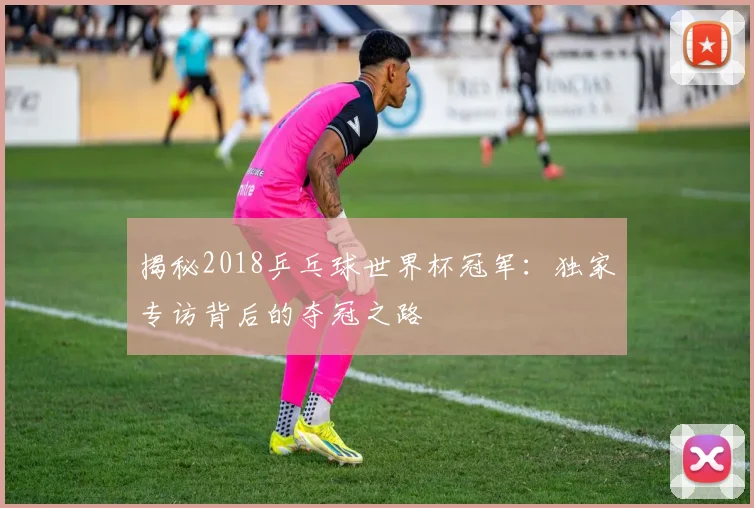 揭秘2018乒乓球世界杯冠军:独家专访背后的夺冠之路