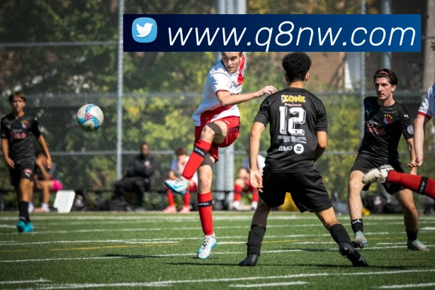 bat365在线登录入口平台生态图